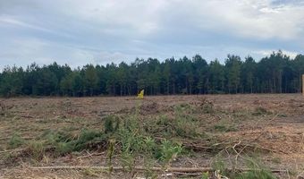 Daniels Lane lot 1-B, Bennettsville, SC 29512