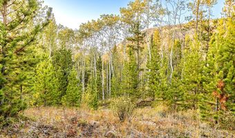 Harris Rd lot 1 Tbd, Anaconda, MT 59711