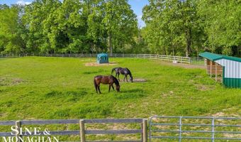 270 N Rochester Rd, Addison Twp., MI 48367