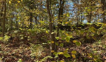 Tbd County Road 12, Akeley, MN 56433