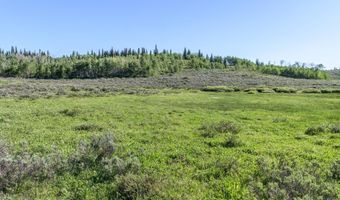 Tbd CARROLL Lane, Daniel, WY 83115