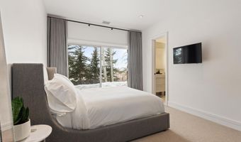 730 S Galena St, Aspen, CO 81611