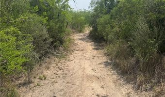 102 Business Park, Alice, TX 78332