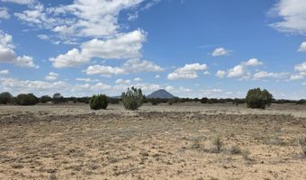 64 Antelope Run, Ash Fork, AZ 86320