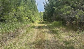 0 Highway 31, Bay Minette, AL 36507