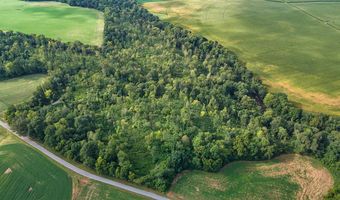 13 93 Acres Conn Rd, Adairville, KY 42206