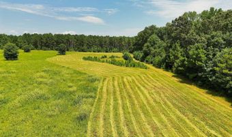 568 COUNTY ROAD 15 Lot 1, Autaugaville, AL 36003