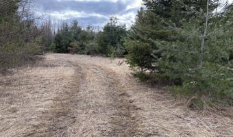 5280 Cathro Rd, Alpena, MI 49707
