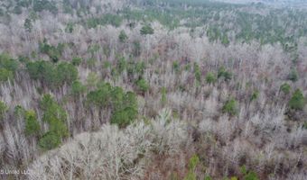 Saint John Road, Braxton, MS 39044