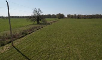 Tract 4 0000 Private Road 1184, Aurora, MO 65605