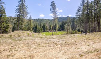 2799 Quines Creek Rd, Azalea, OR 97410
