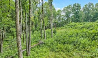 Featherwood Trail, Banner Elk, NC 28604