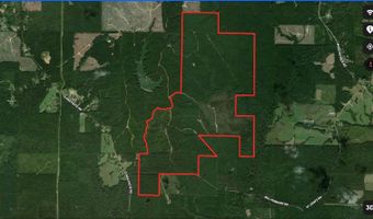 Bill Hubbard Rd, Braxton, MS 39044