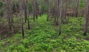 154 County Road 38 Acres, Banks, AL 36005