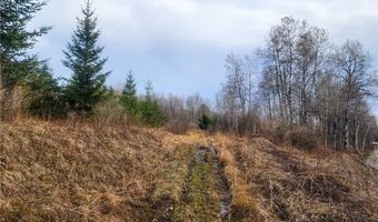 Quigg Hollow Road, Andover, NY 14806