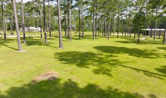 634 Alapaha River Dr, Alapaha, GA 31622