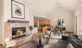 404 Wild Spring Ln, Basalt, CO 81621