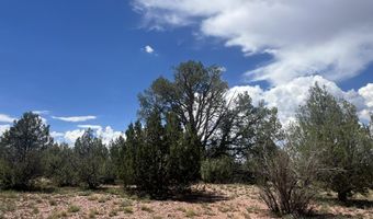 62 Cone Ln, Ash Fork, AZ 86320