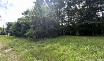 000 Ann Hinton Rd, Beaumont, MS 39462