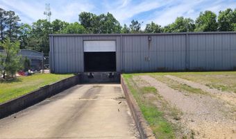 429 ARENDALL Rd, Adamsville, TN 38310