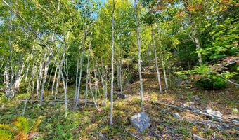 W McMann & Porcupine Hill Road lot 3, Addison, ME 04606