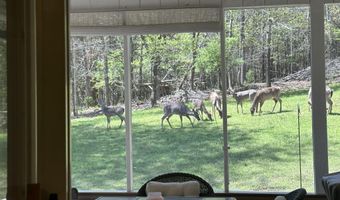 267 Back 9 Dr, Baneberry, TN 37890