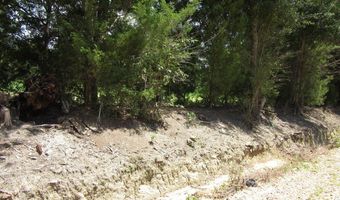 Eudon Best Rd, Ashford, AL 36312