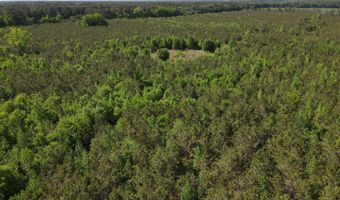 Colice Hall Lane, Ahoskie, NC 27910