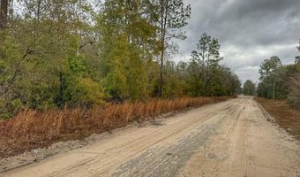 NW 10th Ave, Bell, FL 32619