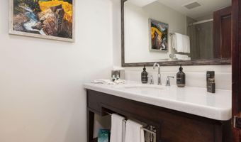26 Avondale 211, Beaver Creek, CO 81620