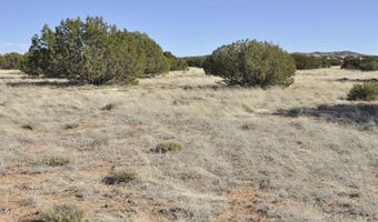 12 County Rd N8543, Concho, AZ 85924