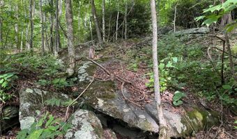 Tbd Boulder Gardens Road, Banner Elk, NC 28604