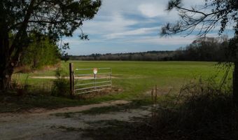 179 Lakefront Dr, Abbeville, AL 36310