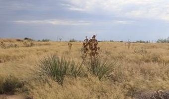 3020 NW 161, Andrews, TX 79714