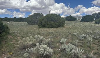 79 Alpine Ln, Concho, AZ 85924