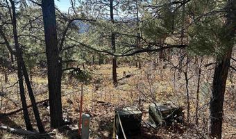 490 Hilltop Dr, Bayfield, CO 81122