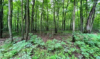 45 Xxx 289th Ln, Aitkin, MN 56431