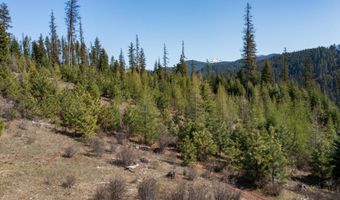 NKA 262 Ac N Side Rd, Calder, ID 83808