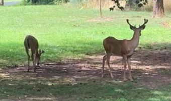 5787 BLOOMERY Pike, Augusta, WV 26704