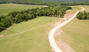 94-161 STEWMAN CREEK LANDING Rd Lot 94-161, Bath Springs, TN 38311