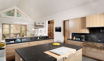 991 Moore Dr, Aspen, CO 81611