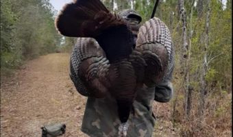 259 Forest Lake Rd, Beaumont, MS 39423