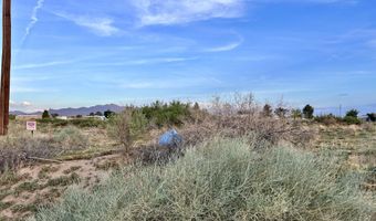 Tbd SHRODE Road, Anthony, NM 88021