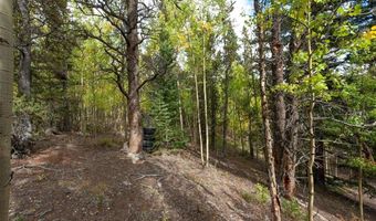 452 QUARTZVILLE Rd, Alma, CO 80420