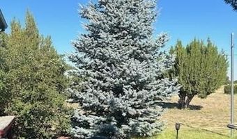 727 County Road 8500, Concho, AZ 85924