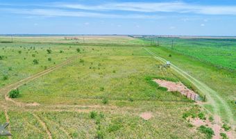 7333 County Road 463, Anson, TX 79501