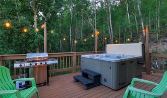 1095 QUARTZVILLE, Alma, CO 80440