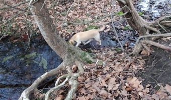 4775 S 50th Rd, Aldrich, MO 65601