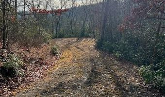 Tobacco Branch Road lot # 2, Almond, NC 28702