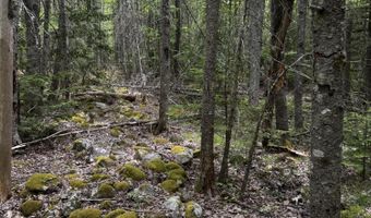 Hadley Point Road lot 0, Bar Harbor, ME 04609